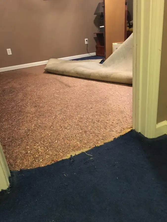 Carpet pad removal revealing water damage during Water Mitigation Services in Sunnyside