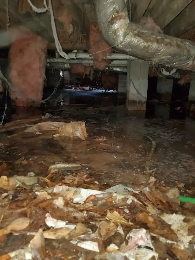 Crawl space flood assessment for Commercial Water Damage Restoration in Sunnyside