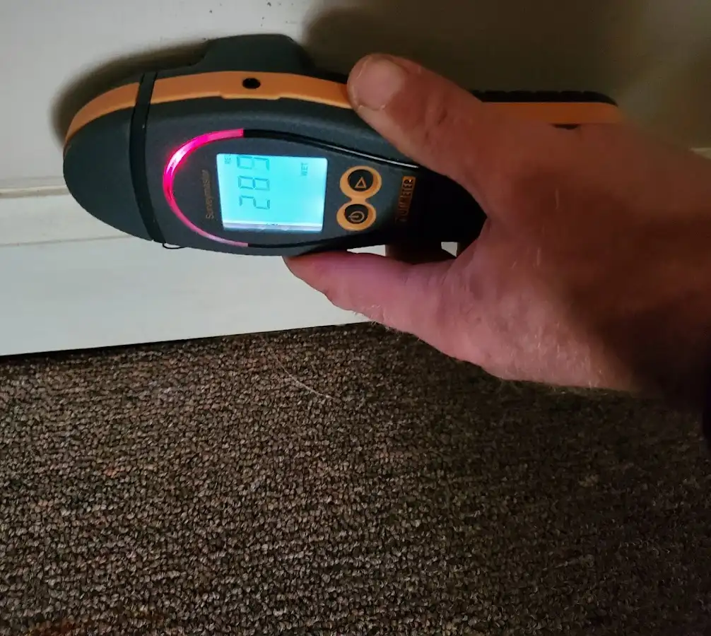 Moisture detection at baseboard during Mold Inspection & Testing in Sunnyside